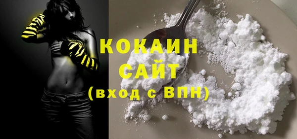 стаф Балахна