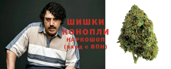стаф Балахна