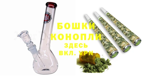 стаф Балахна