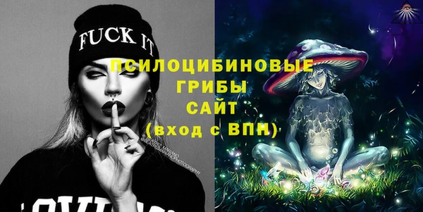 стаф Балахна