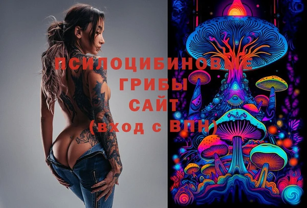 прущие крисы Баксан